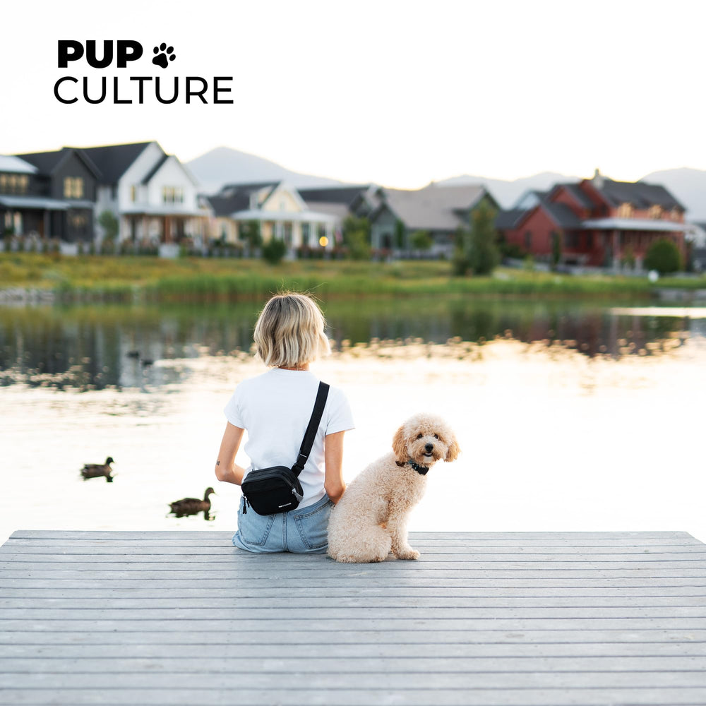 Pup Culture compact dog walking essentials for outings