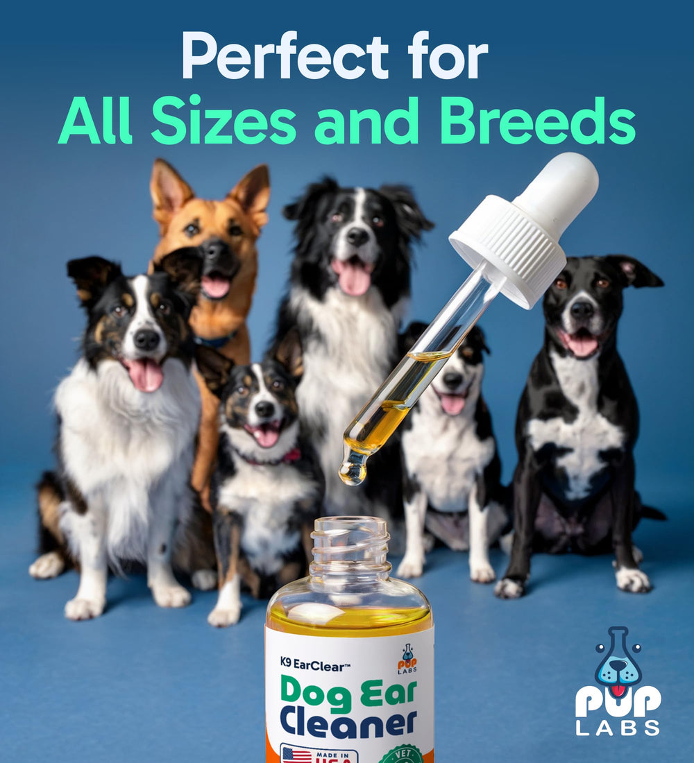 Pup Labs Ear Clear dropper dispensing to clean a dog's ear.
