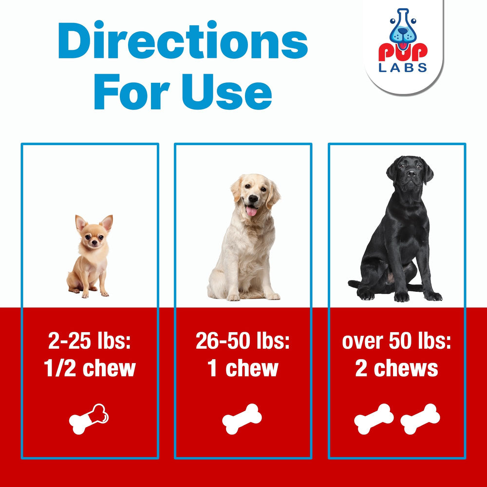 Pup Labs Freedom Joint Chews dog-running image suggests improved mobility.