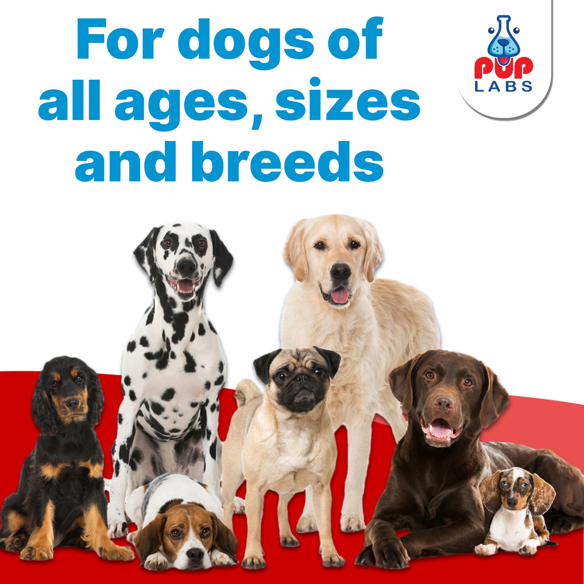 Pup Labs Freedom Joint Chews treat-time scene signals easy daily giving.