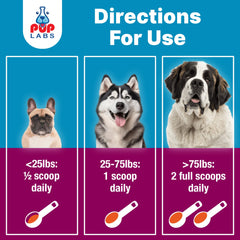Pup Labs K9 Belly Bliss bottle close-up highlights vet-approved prebiotic.