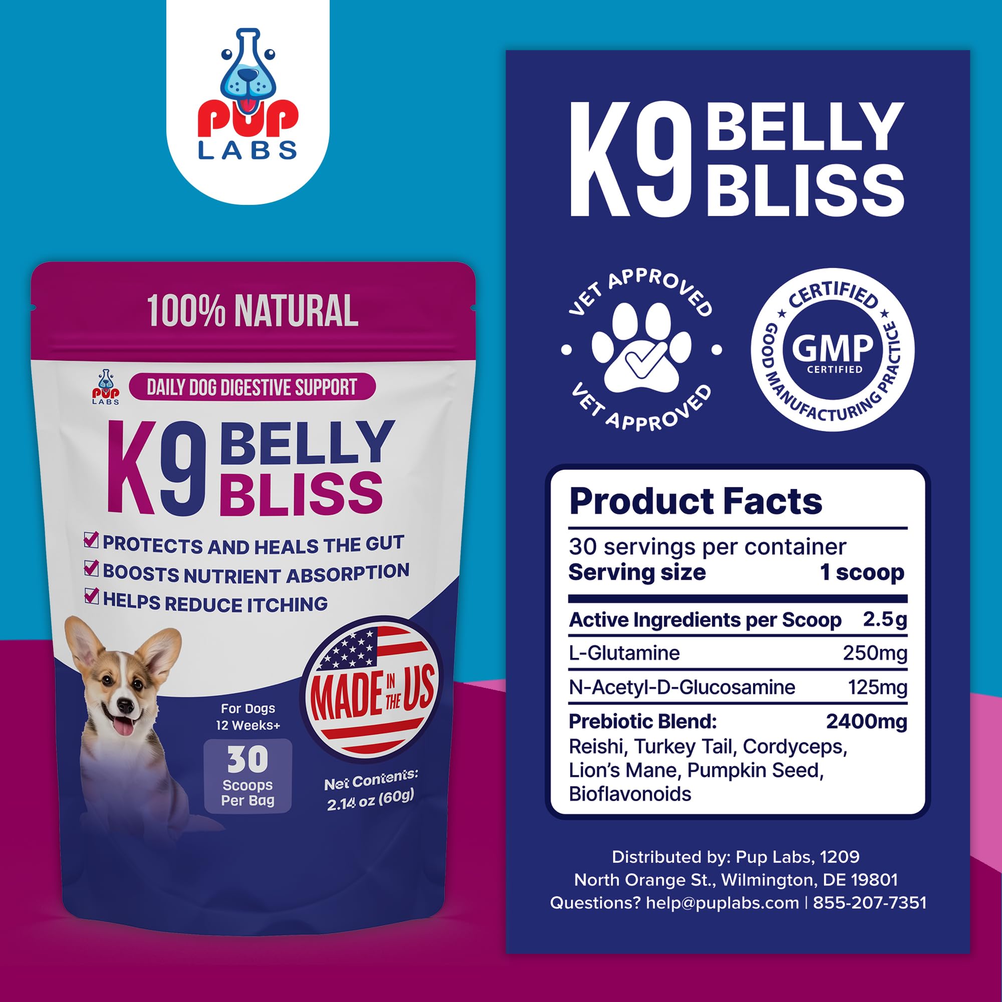 Pup Labs K9 Belly Bliss digestive health infographic.