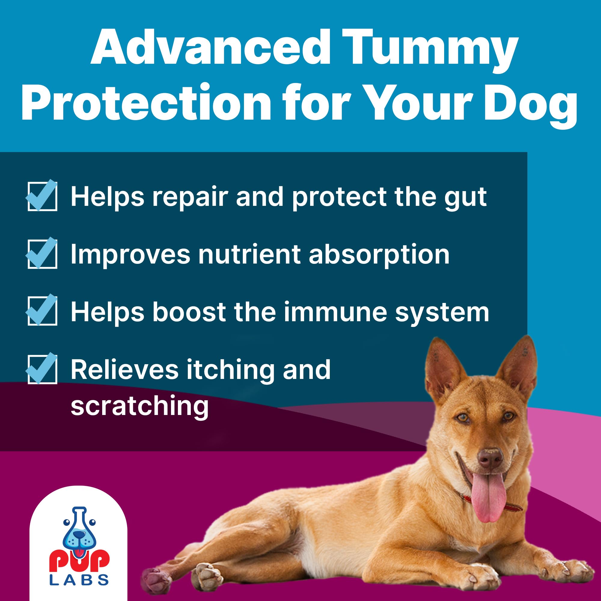 Pup Labs K9 Belly Bliss topper on wet food for easy mixing.