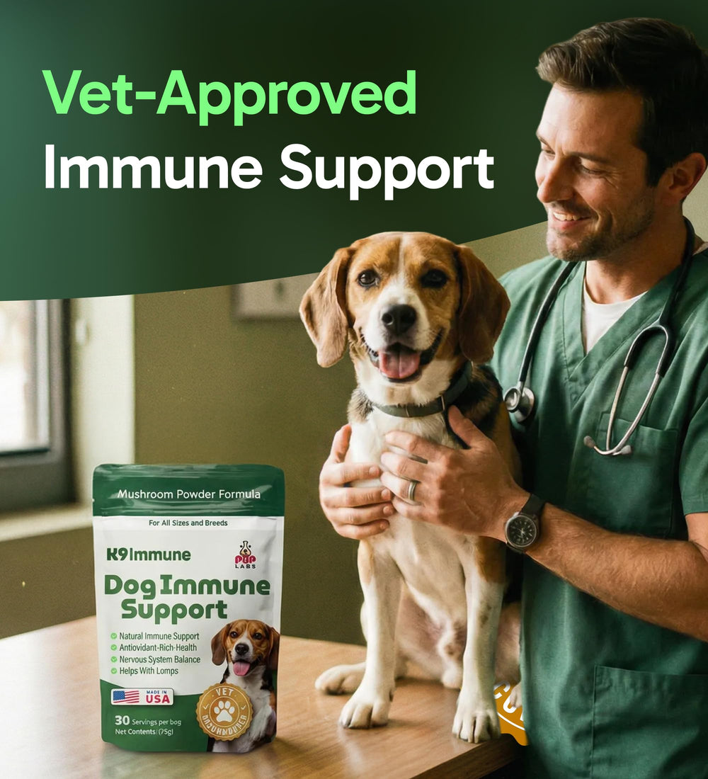 Dog enjoying a meal boosted by K9 Immune for daily vitality.