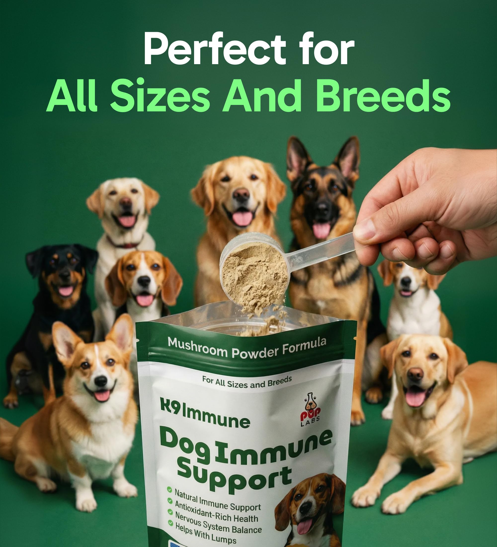 Product label and ingredients emphasizing antioxidant-rich mushrooms for aging dogs.