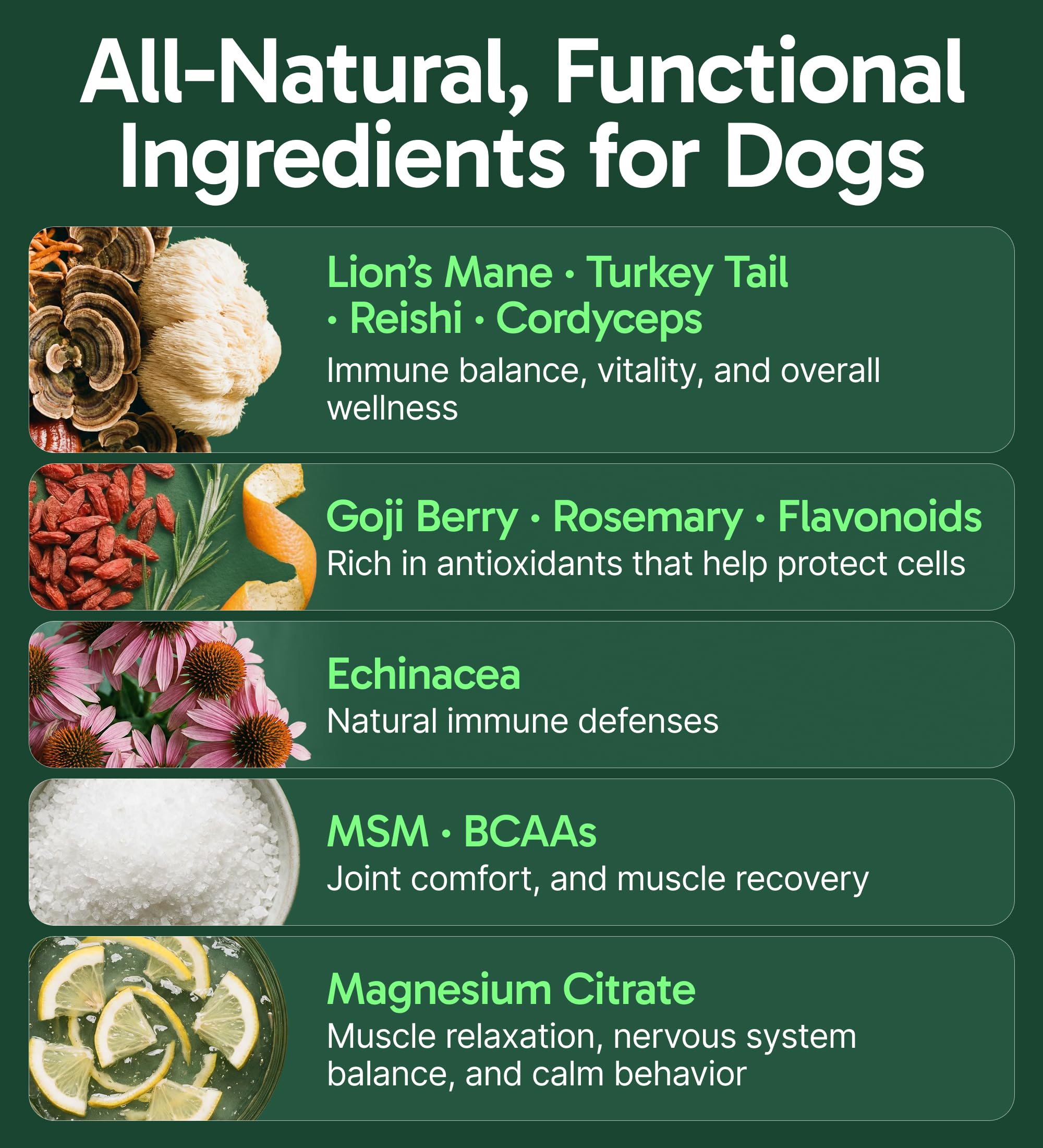 Close-up of turkey tail and mushroom blend highlighting natural ingredients for dogs.