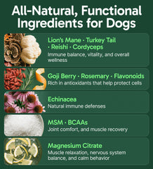 Close-up of turkey tail and mushroom blend highlighting natural ingredients for dogs.
