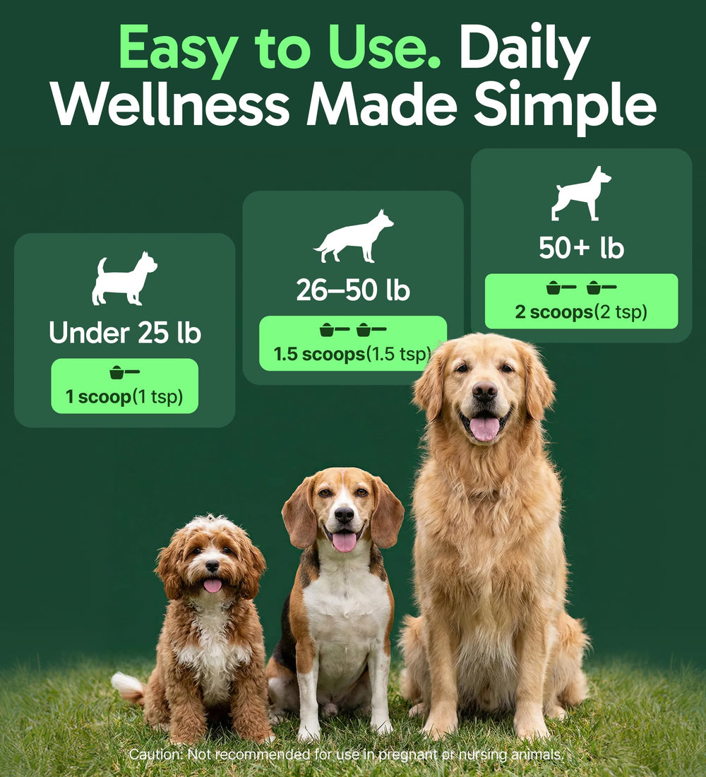 USA-made production facility ensuring quality control for dog supplements.