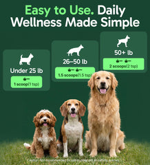 USA-made production facility ensuring quality control for dog supplements.