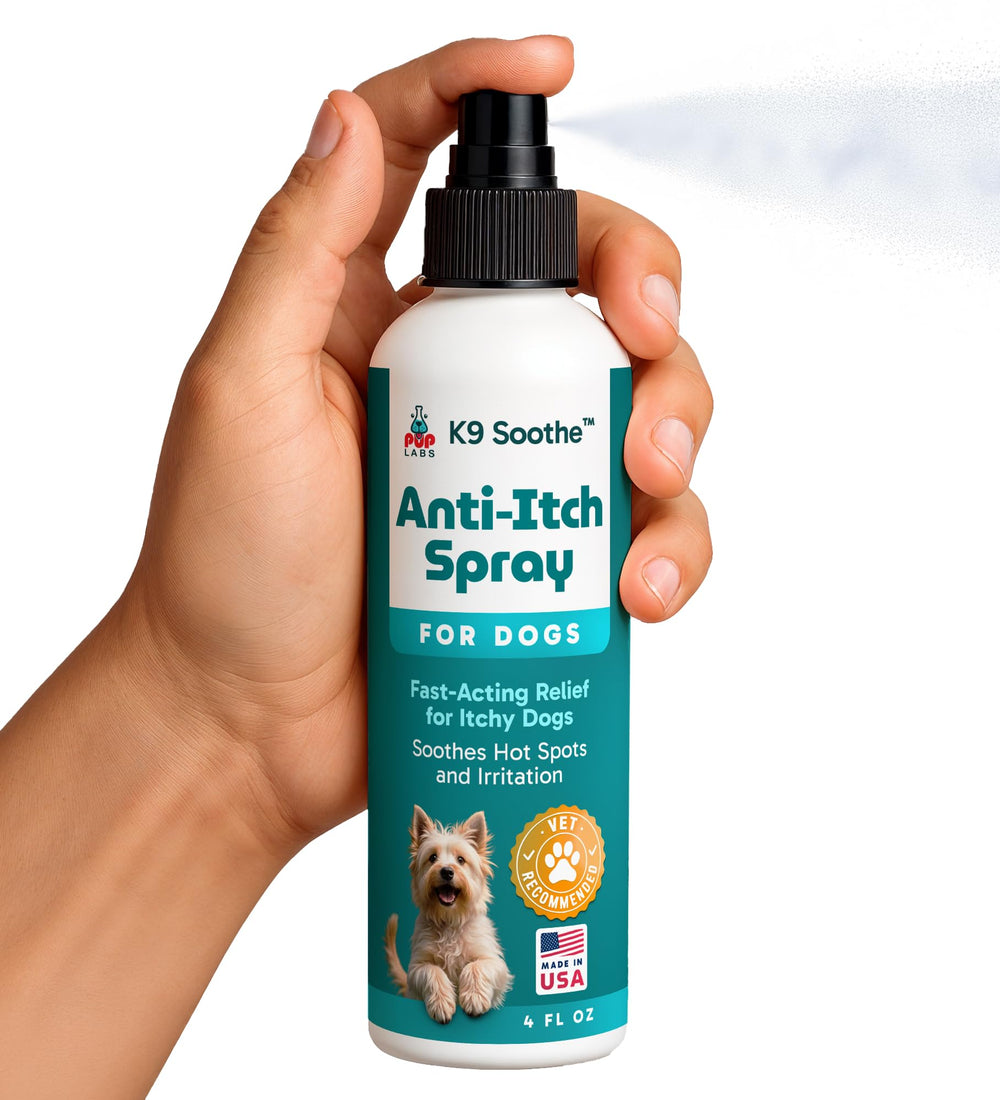 Pup Labs K9 Soothe home-use scene suggests gentle care.
