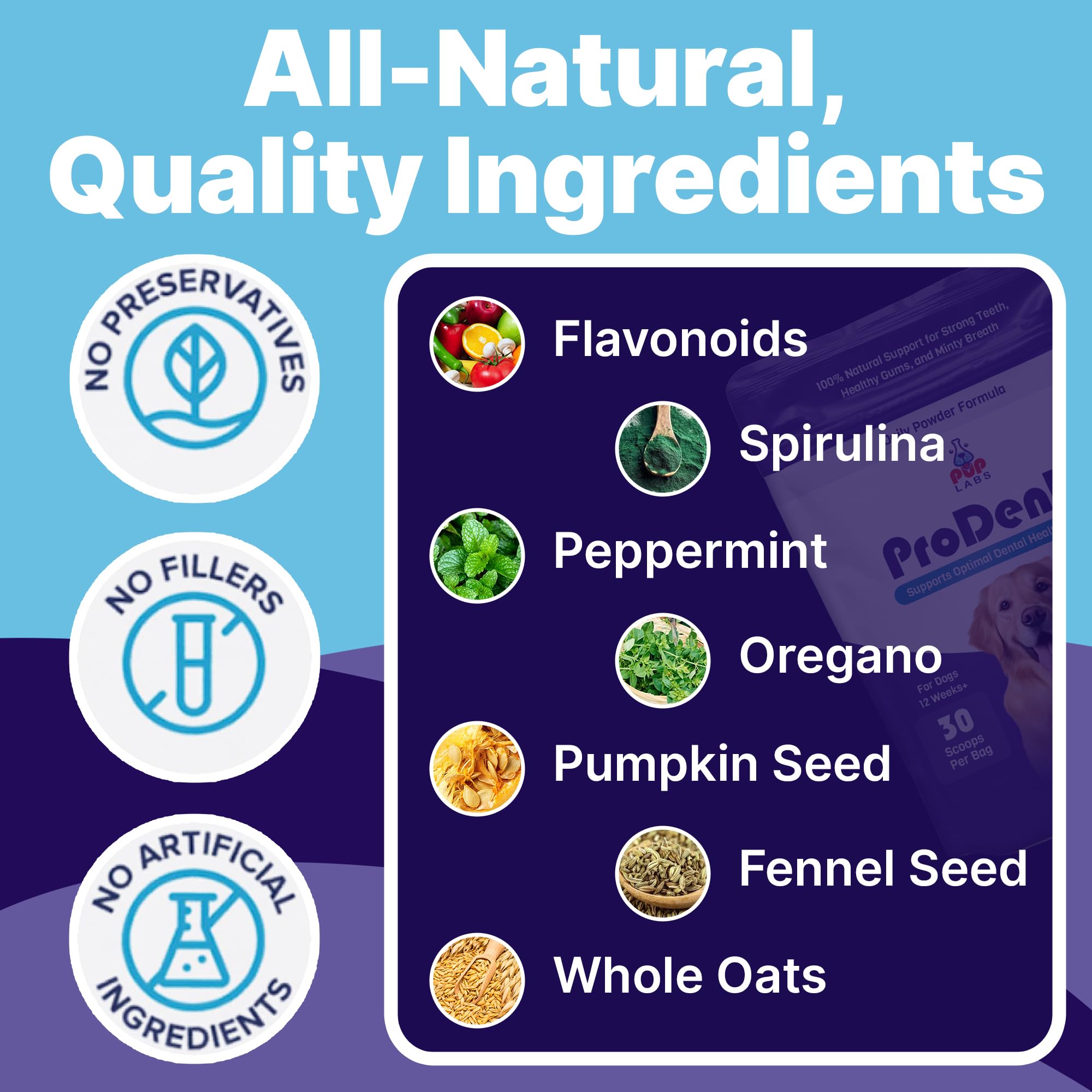 ProDenta powder sprinkled onto a dog's meal to help tartar control