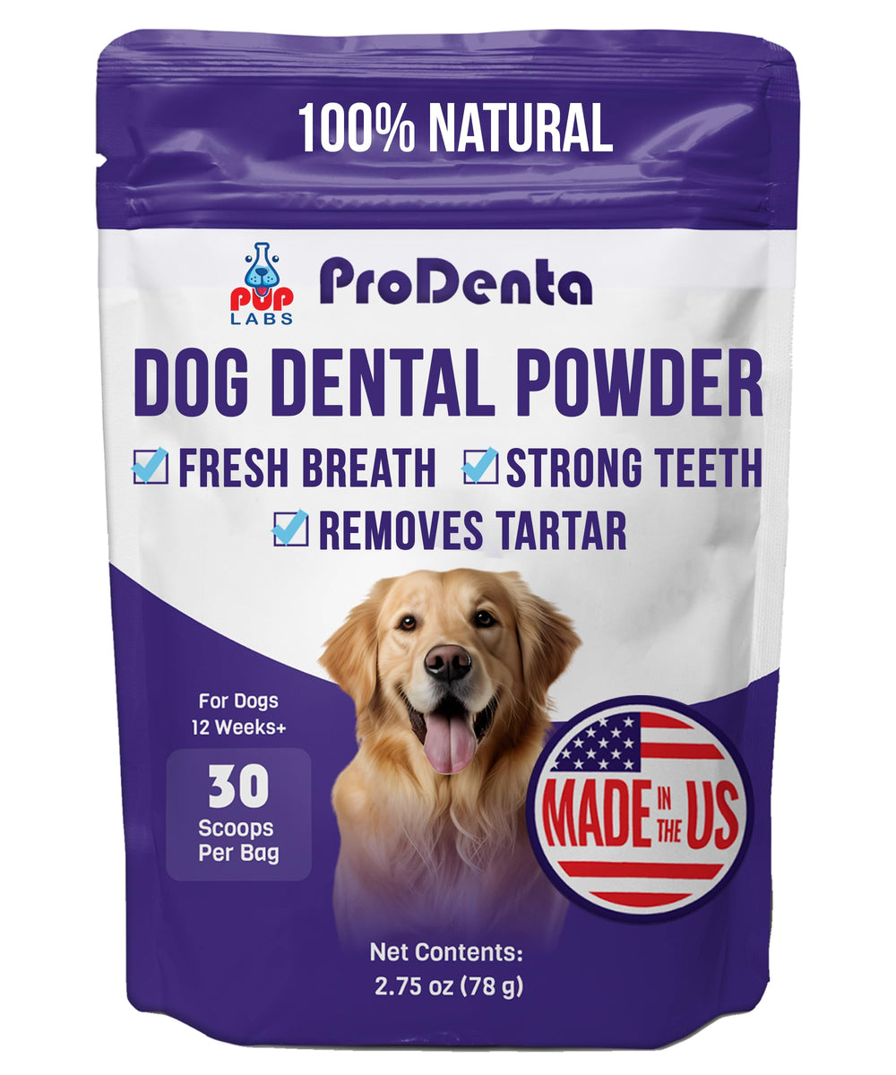 Pup Labs ProDenta powder tub close-up for daily dog dental care