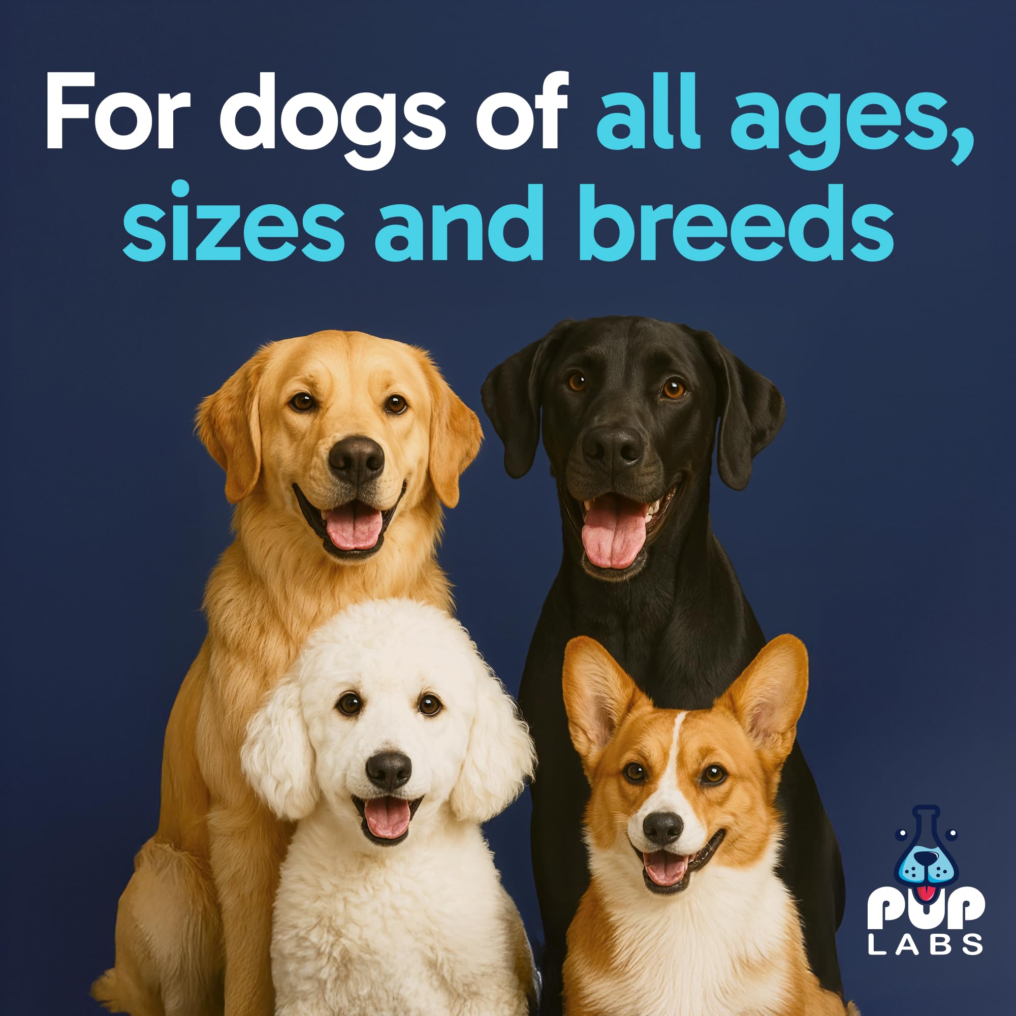 Pup Labs daily-dose close-up shows easy bite-sized probiotic support for dogs
