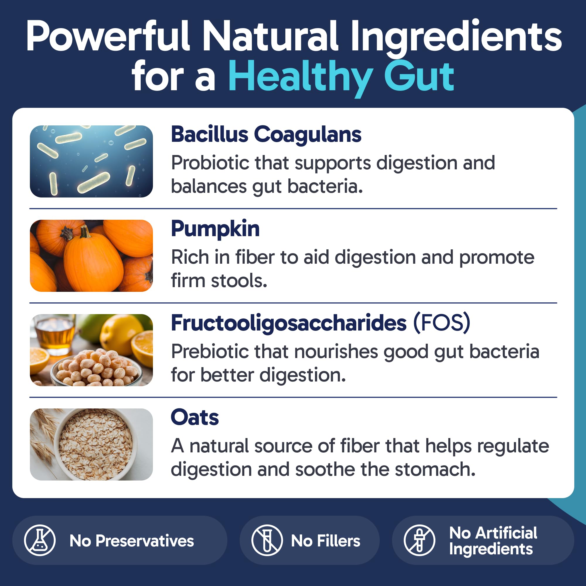 Pup Labs pumpkin ingredient icon highlights natural fiber support for gut health