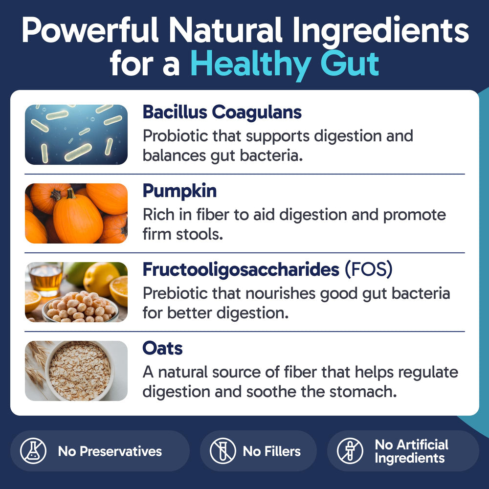 Pup Labs pumpkin ingredient icon highlights natural fiber support for gut health