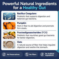 Pup Labs pumpkin ingredient icon highlights natural fiber support for gut health