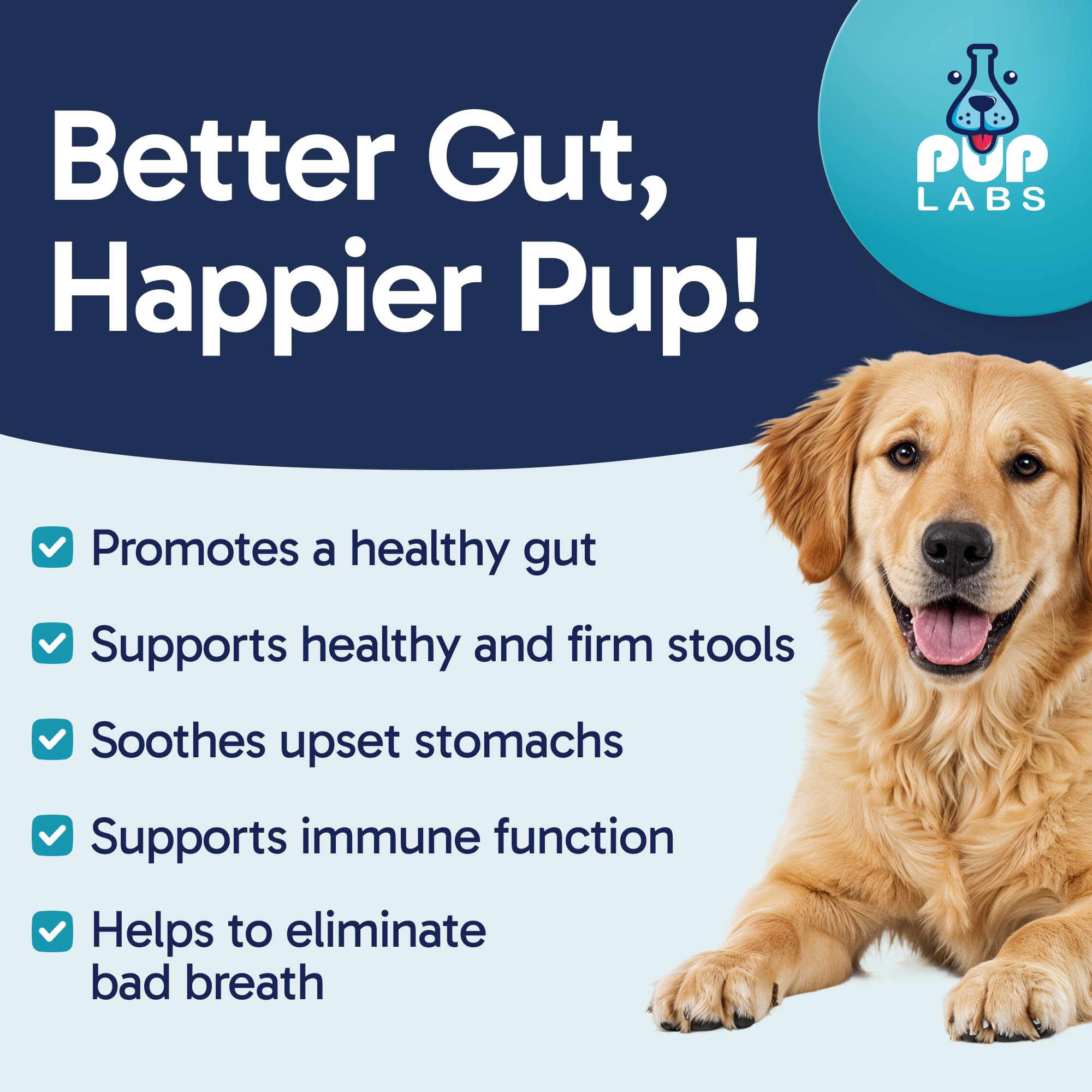 Pup Labs Tummy Essentials serving dish ready for daily canine probiotic chews