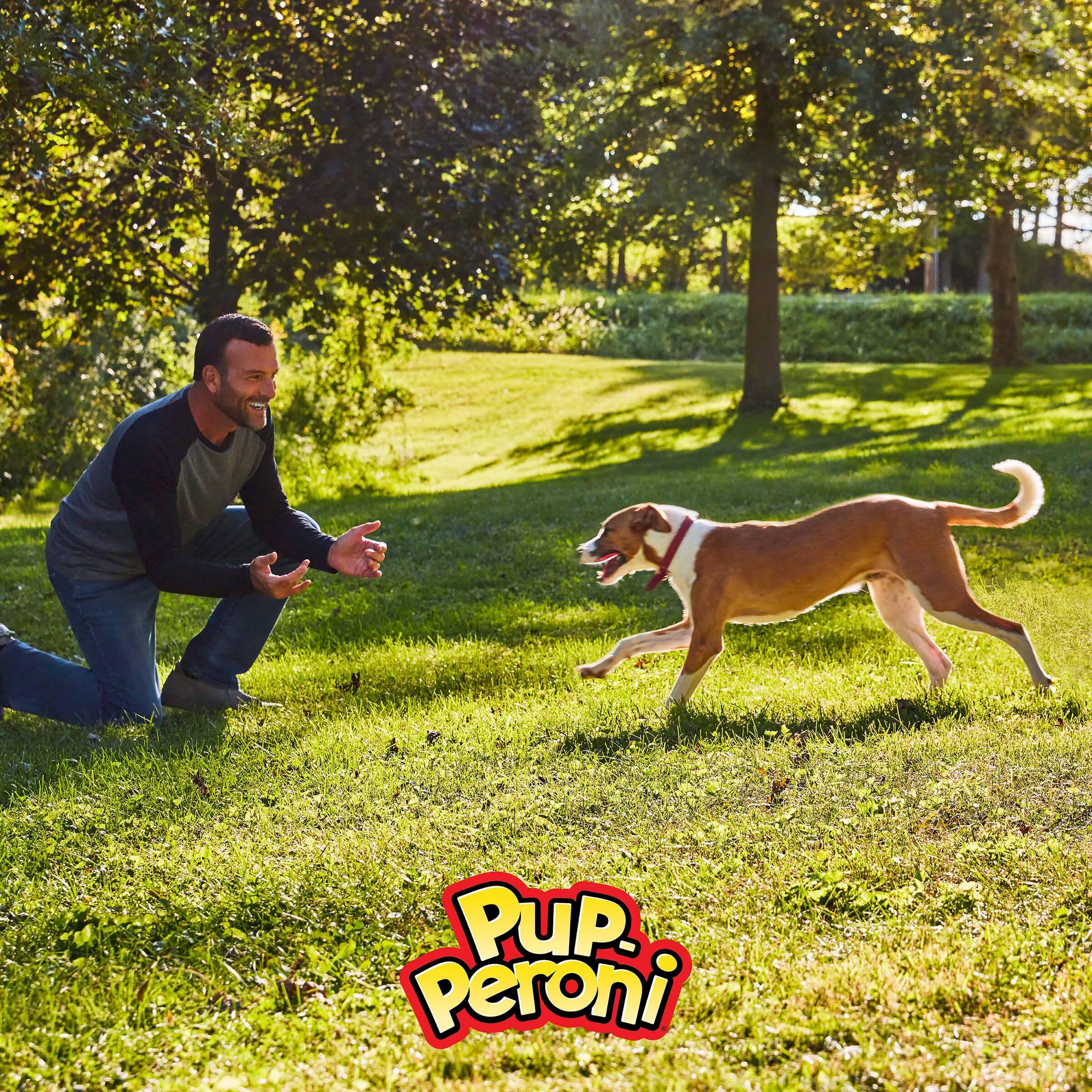 Pup-Peroni Lean Beef in bowl for snacks and walks