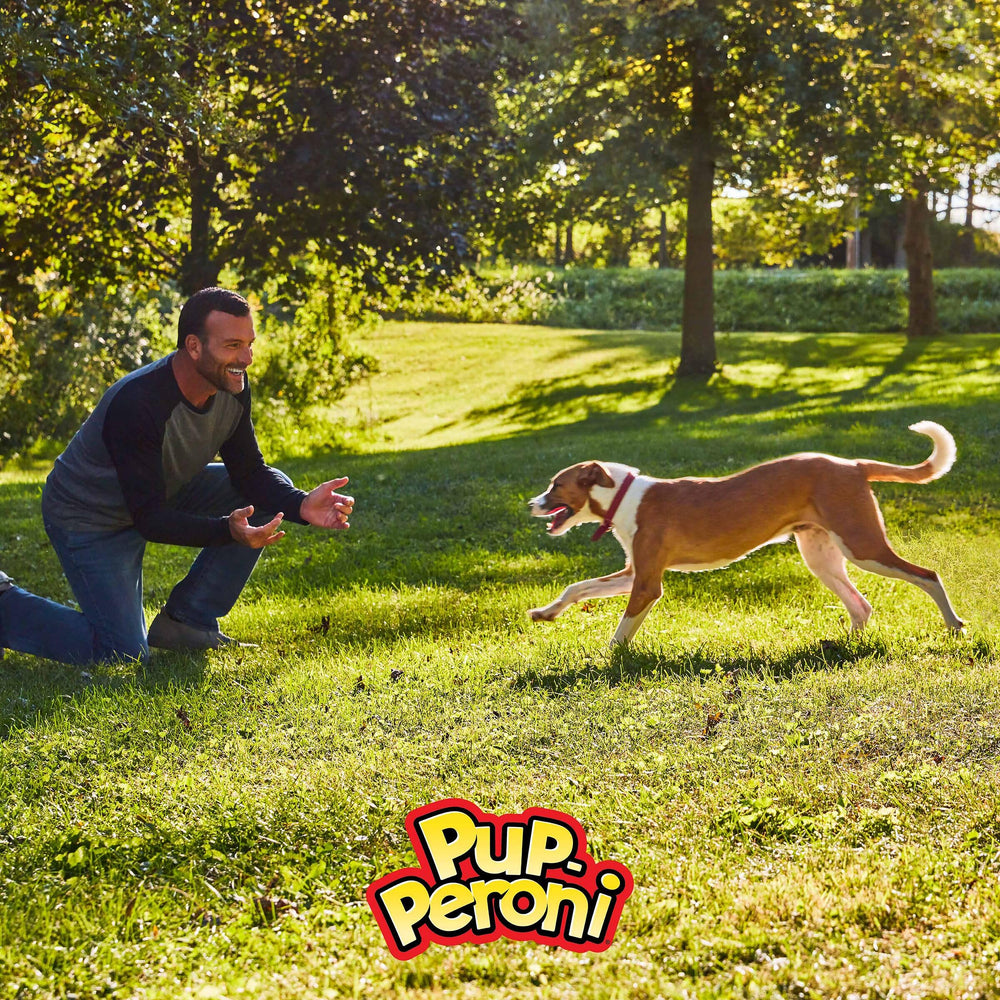 Pup-Peroni Lean Beef in bowl for snacks and walks