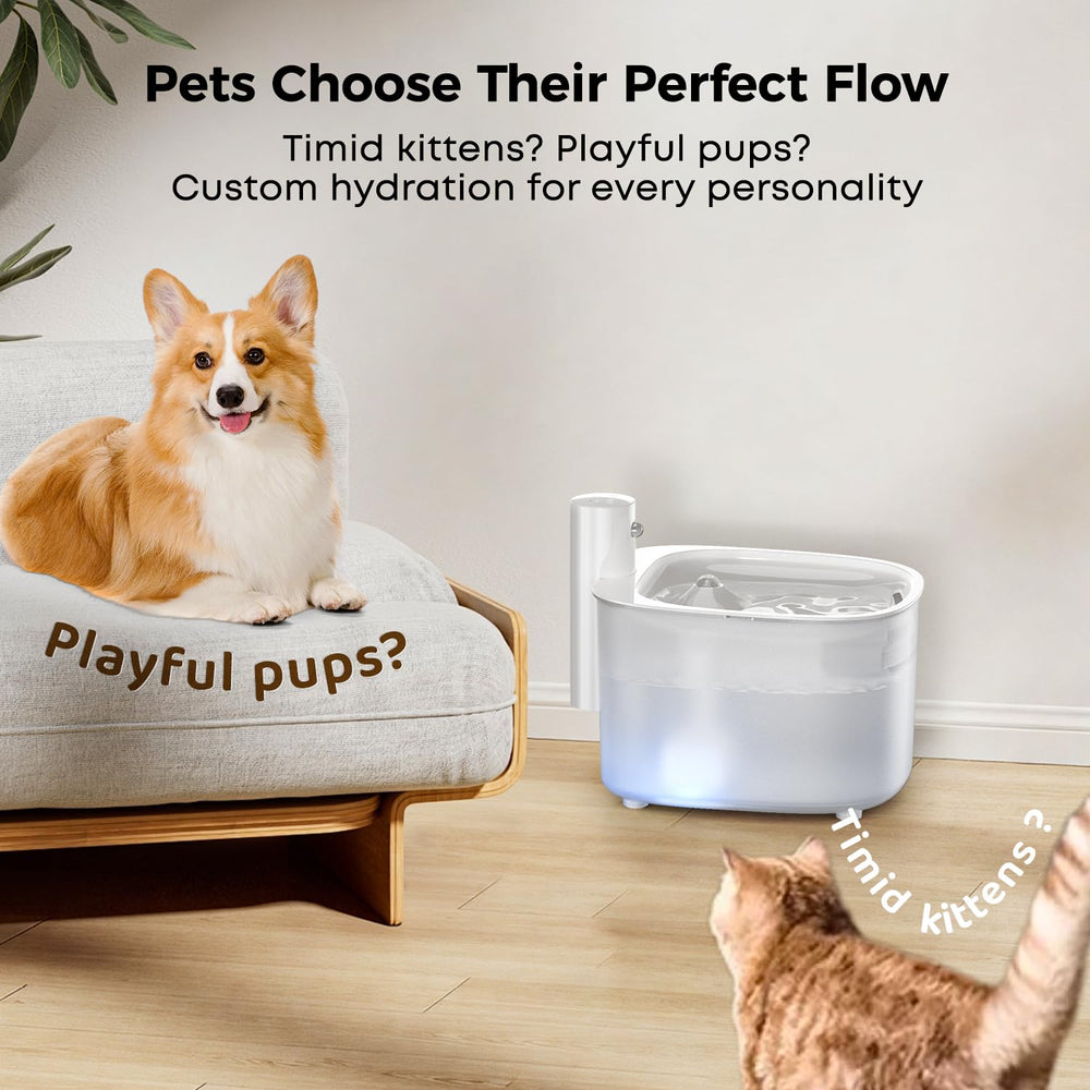 PUPERCI low noise pump operates quietly for a peaceful home