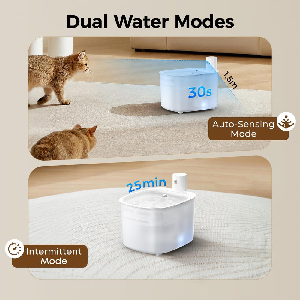 PUPERCI water flow captures inviting hydration for cats