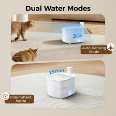 PUPERCI water flow captures inviting hydration for cats