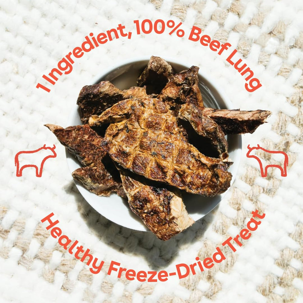Pupford Beef Lung raw detail showcases single-ingredient, grain-free protein option.
