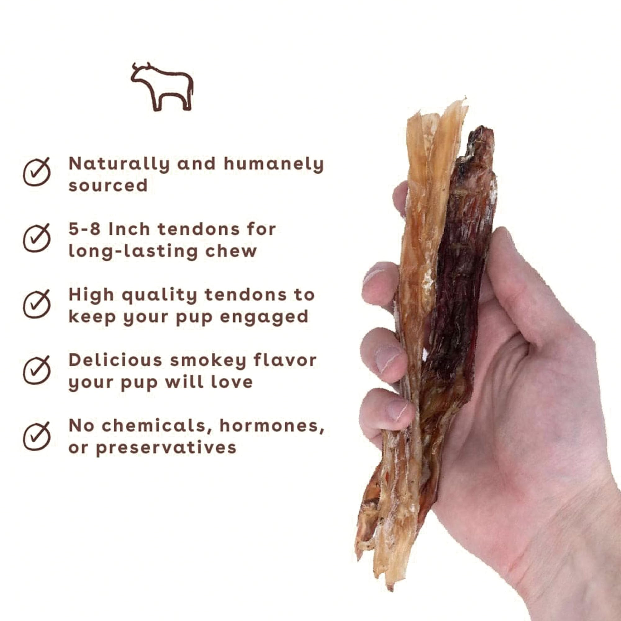 Pupford beef tendon chews enjoyed by a dog during chew time.
