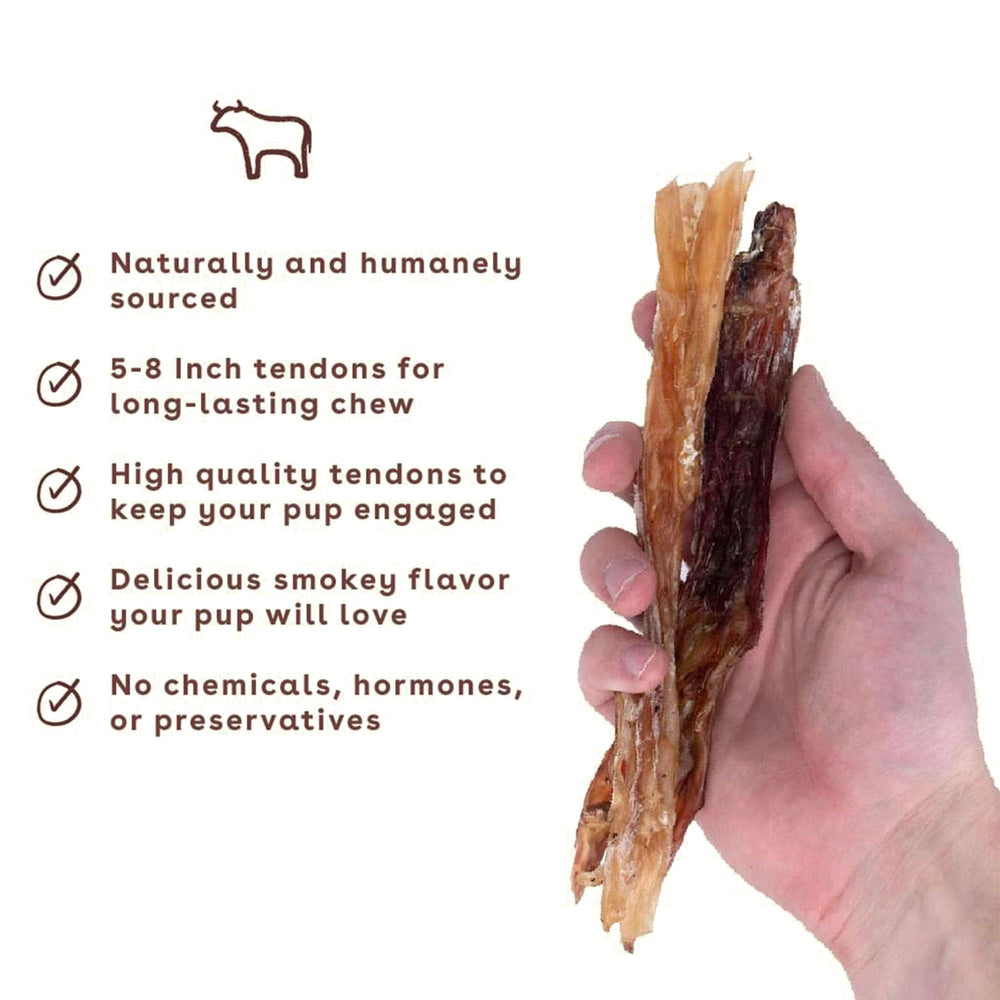 Pupford beef tendon chews enjoyed by a dog during chew time.