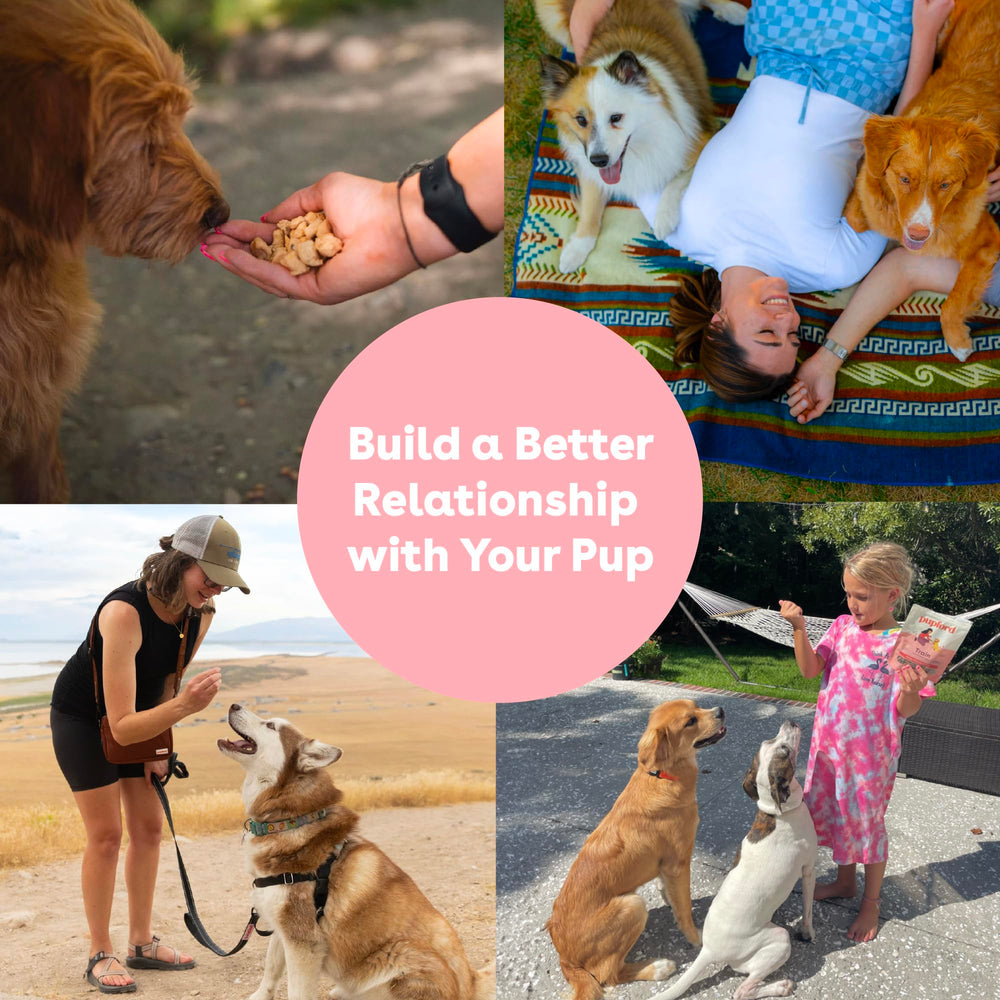 Pupford bite size training treats for puppies, supports focused sessions.