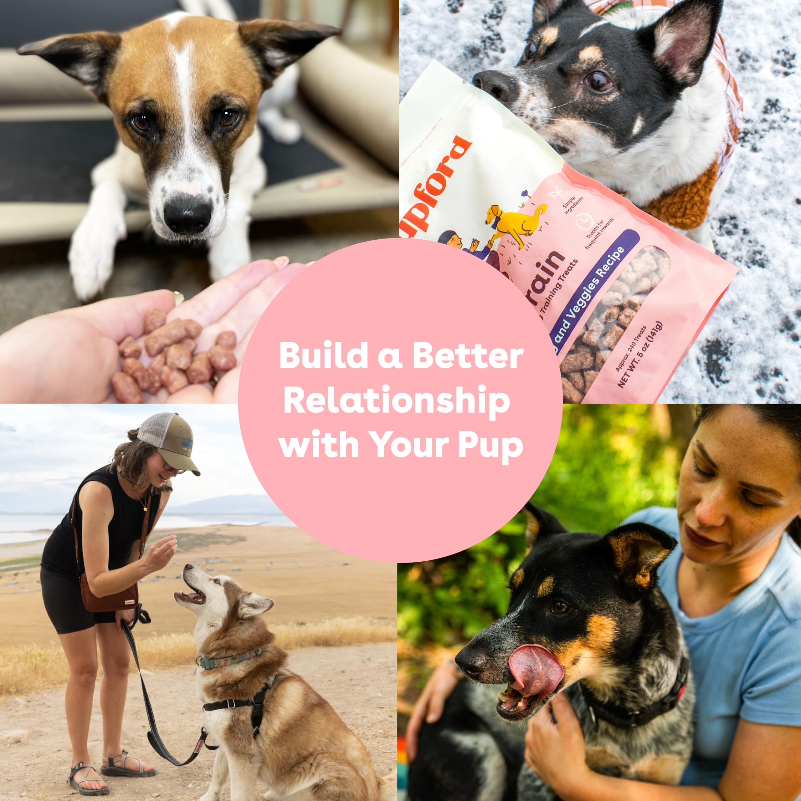 Pupford treats on a leash-friendly walk for easy rewards
