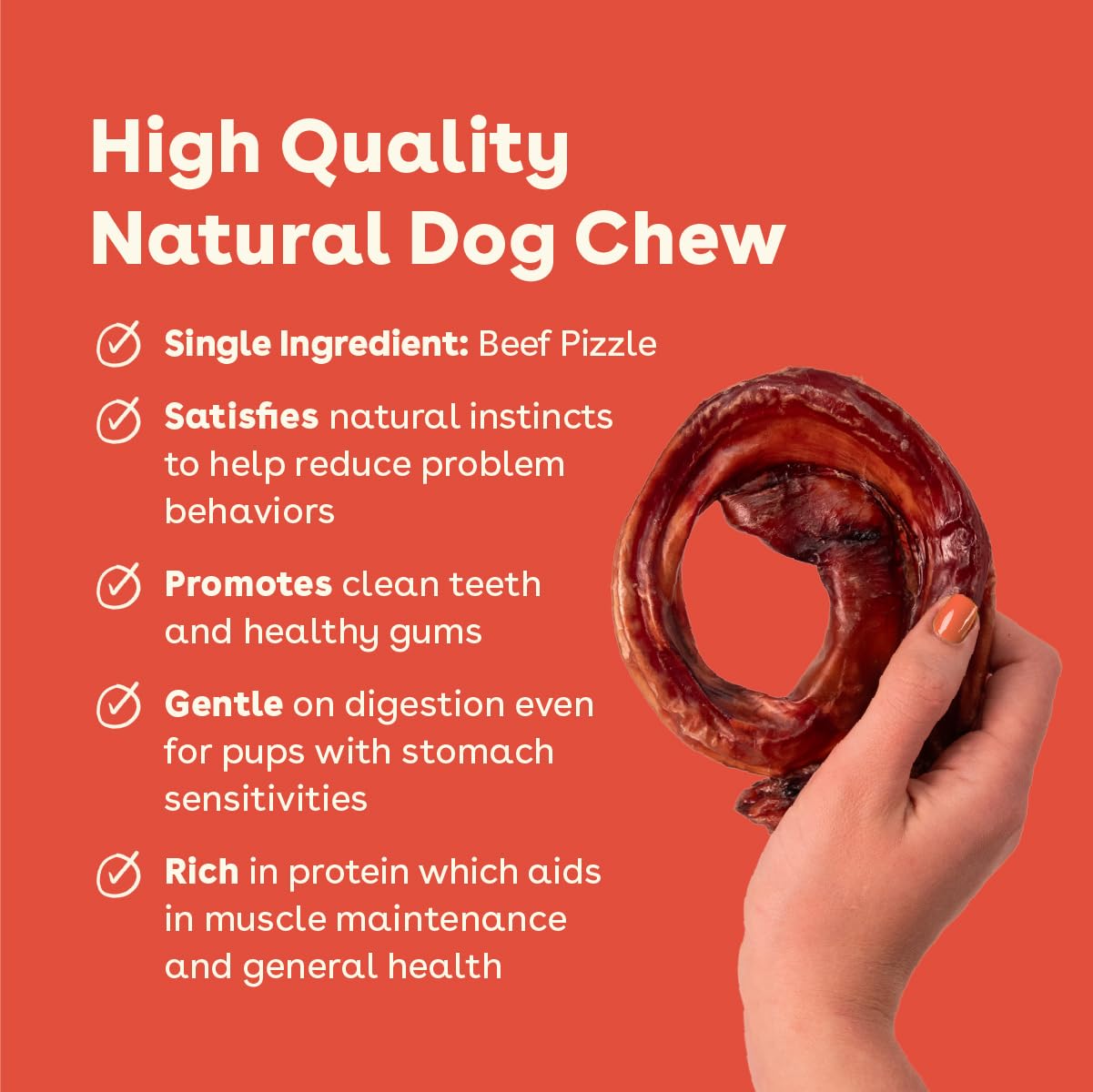 Pupford Bully Stick Rings in use, a dog enjoying a long-lasting chew.