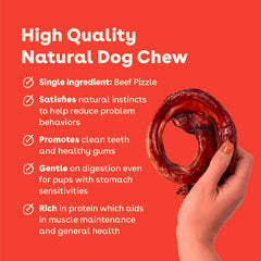 Pupford Bully Stick Rings in use, a dog enjoying a long-lasting chew.