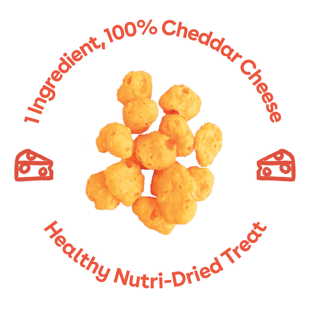 Pupford Cheese Crunchies cheddar close-up; real cheese flavor for dogs.