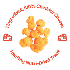 Pupford Cheese Crunchies cheddar close-up; real cheese flavor for dogs.