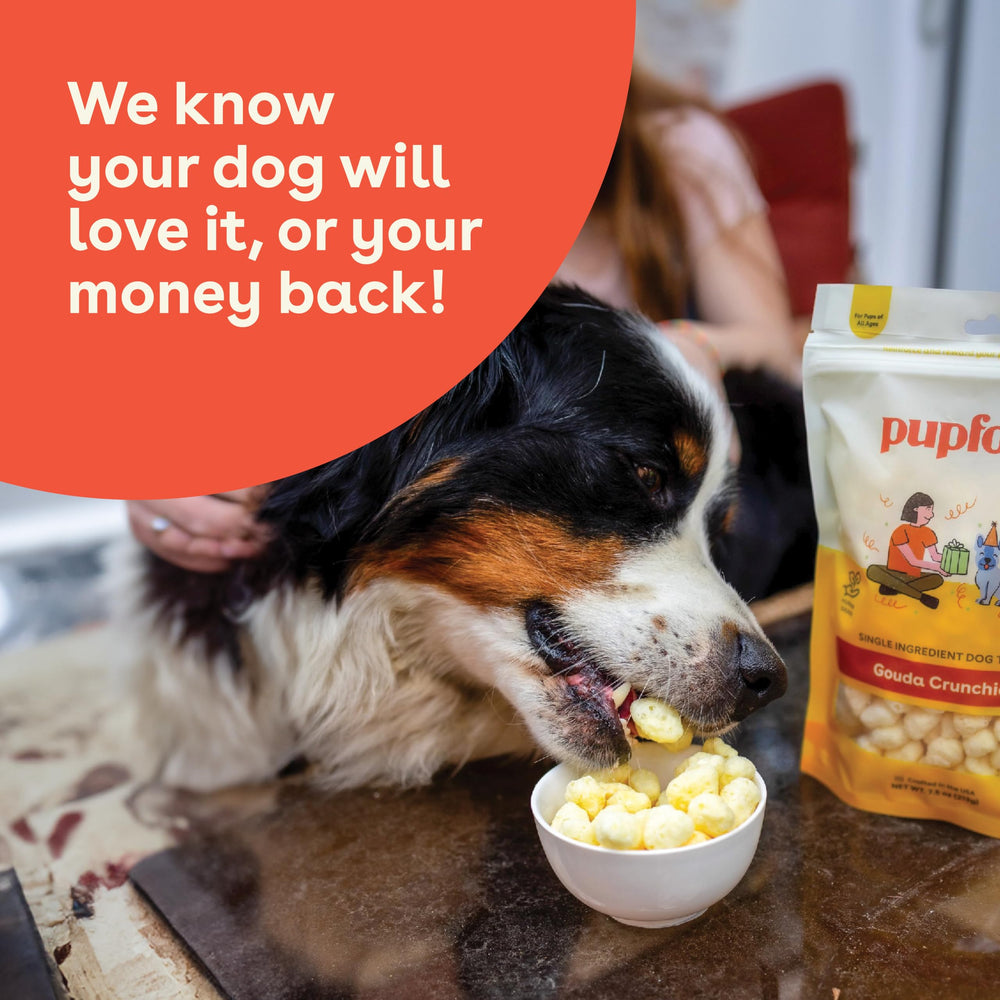 Pupford Cheese Crunchies Gouda low-ingredient treat, suitable for dogs with sensitive diets.