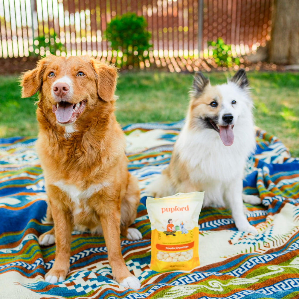 Pupford Cheese Crunchies Gouda packaging display, highlighting all-natural single-ingredient formula.