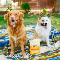 Pupford Cheese Crunchies Gouda packaging display, highlighting all-natural single-ingredient formula.