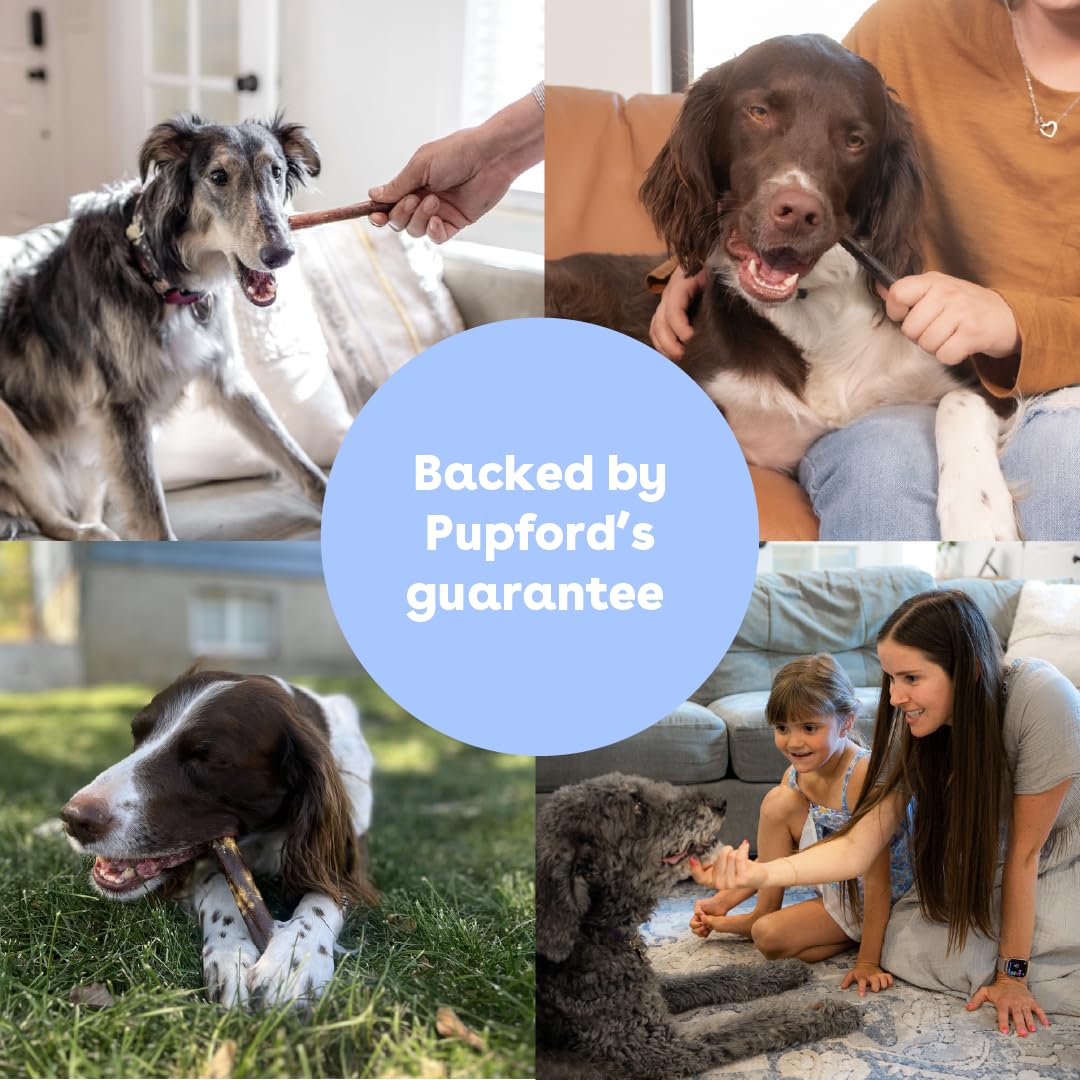 Pupford Collagen Stick Chews long-lasting performance versus bully sticks