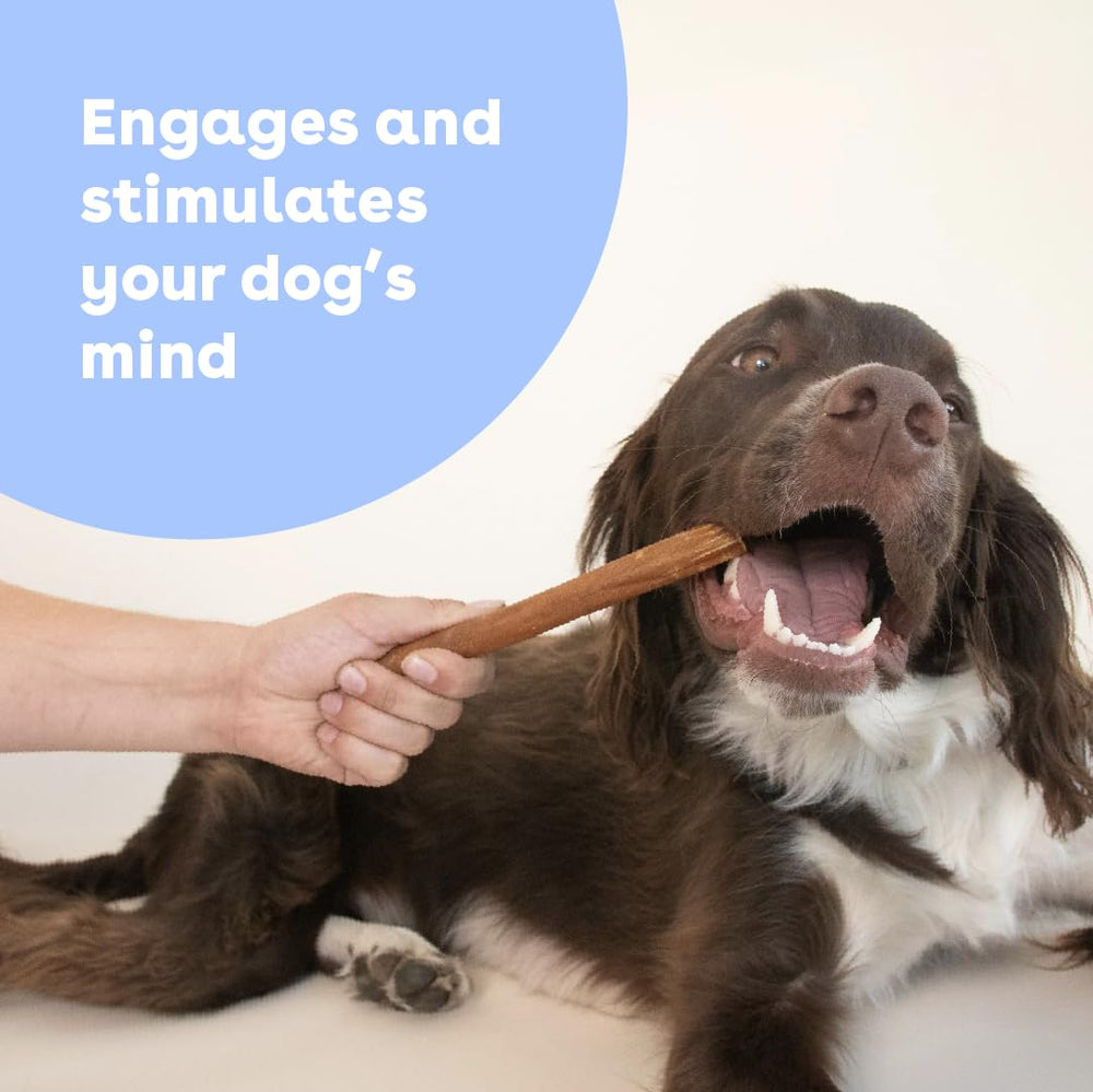 Pupford Collagen Stick Chews teething, ideal for puppies during early teething