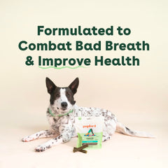 Pupford chews made in USA with natural ingredients.