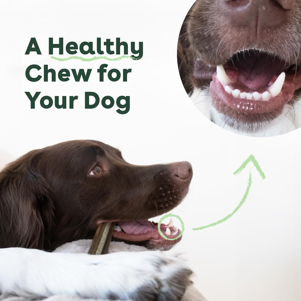 Digestible formula with fewer ingredients is gentle on tummies.