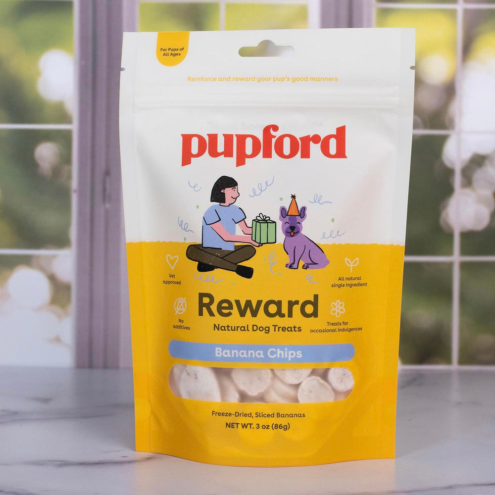 Pupford dog enjoying banana chip treat during playtime.