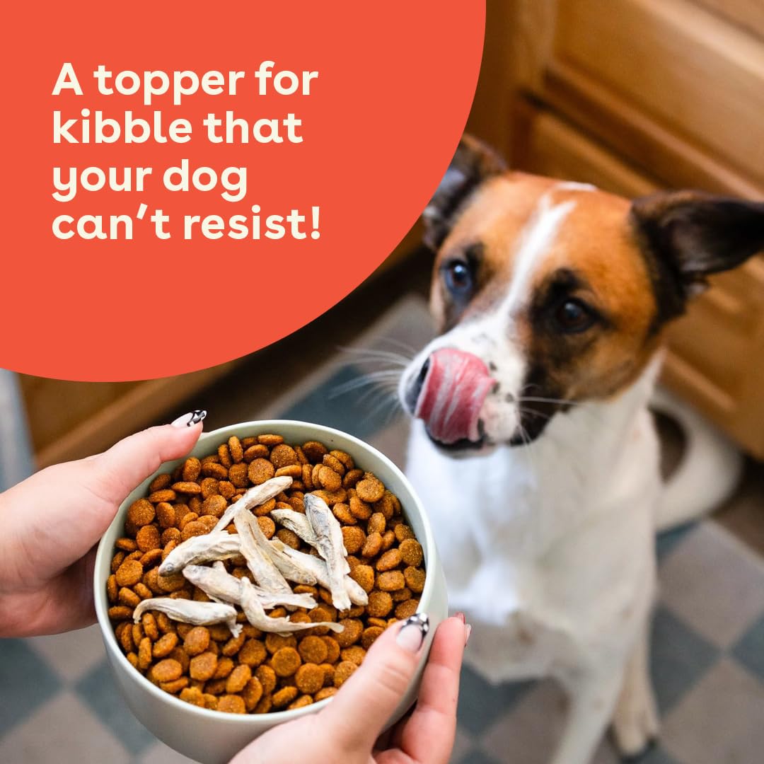 Pupford treats for dogs of all sizes to enjoy a tasty protein boost.