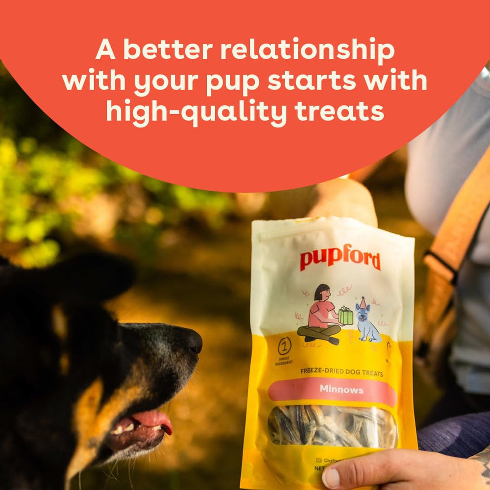 Pupford freeze-dried texture shown, mess-free rewards for puppies and dogs.