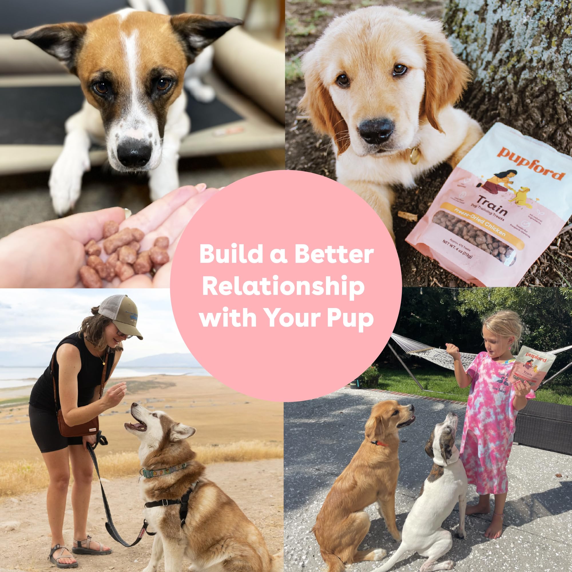 Pupford Freeze Dried Chicken Bites deliver simple, high-quality rewards for dogs.
