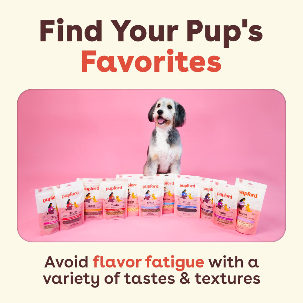 Pupford Freeze-Dried Training Treats puppy training session with quick rewards