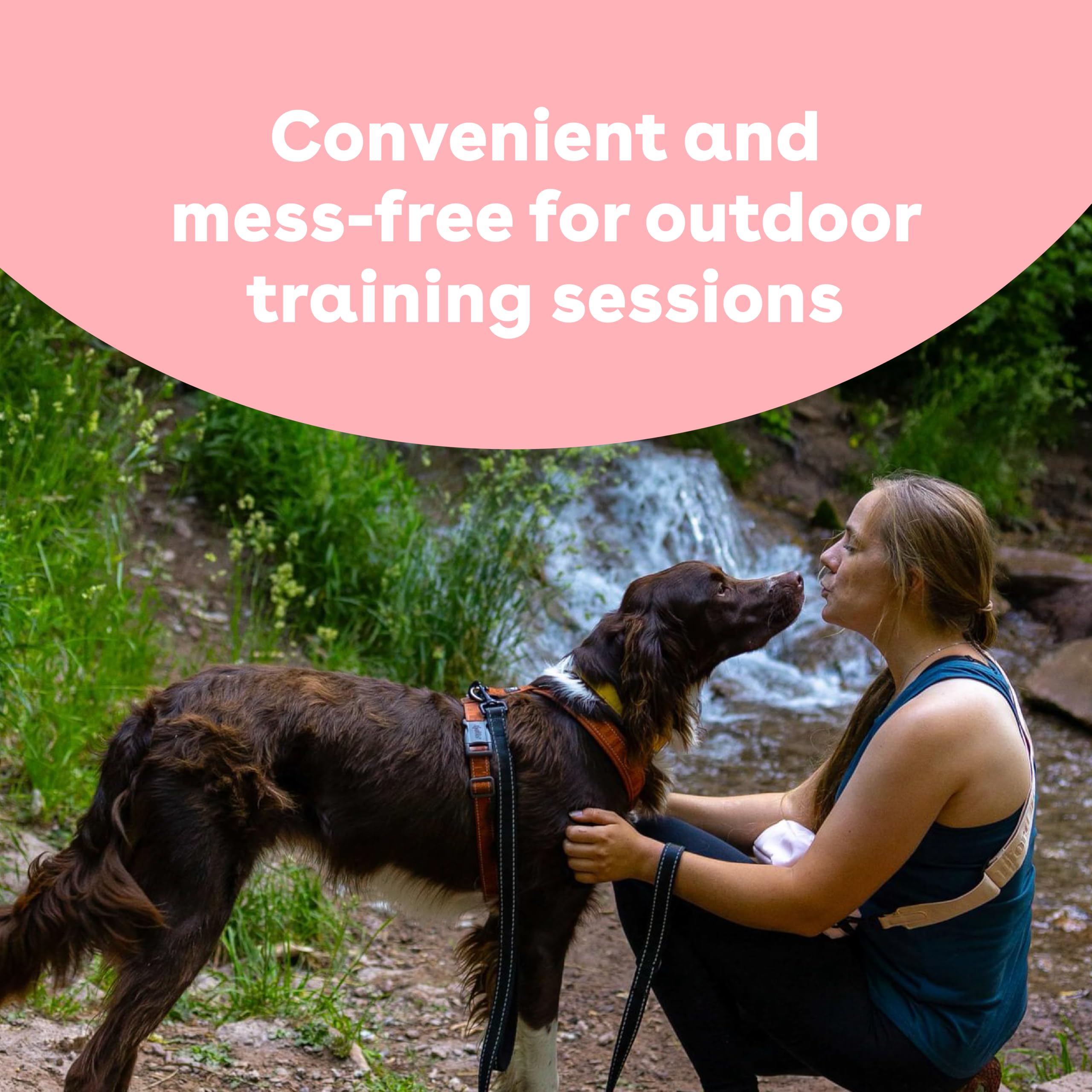 Pocket-ready Pupford treats for on-the-go training during walks
