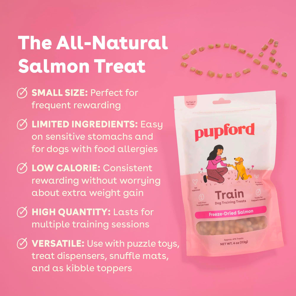 Pupford Freeze Dried Training Treats Salmon—mess-free rewards for on-the-go training.