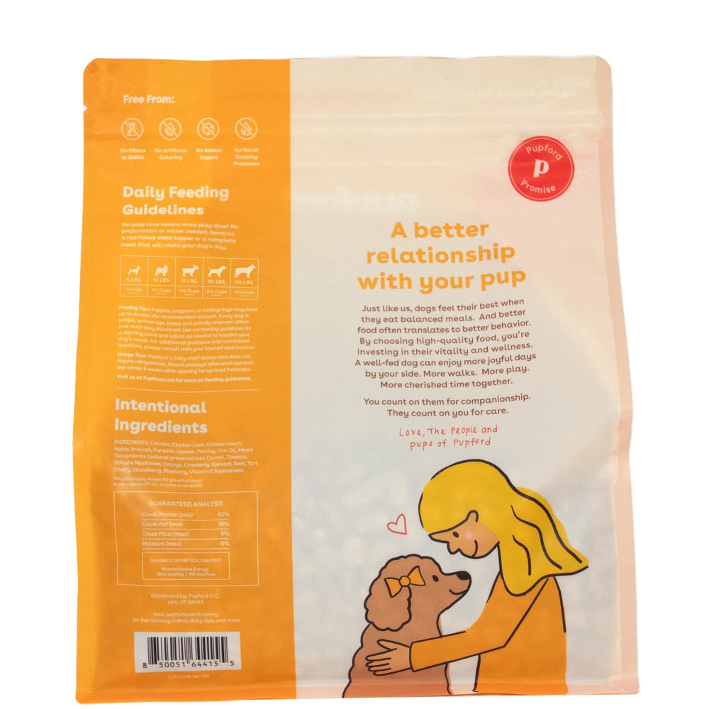Pupford Good Dog Food feeding-time scene conveys effortless daily nutrition